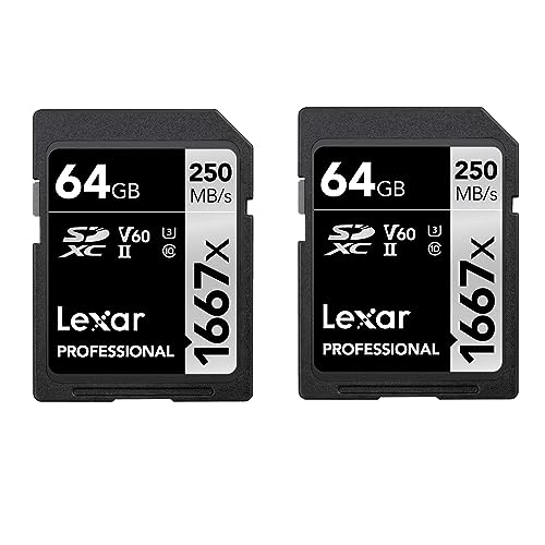 2 x Lexar Professional SD 1667x 64GB UHS-II V60