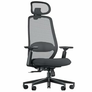 ProtoArc EC200 Sedia Ufficio Ergonomica con Poggiatesta 3D - Nero