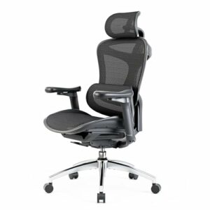 SIHOO Doro C300 Sedia Ufficio Ergonomica 3D Supporto Lombare - Nera