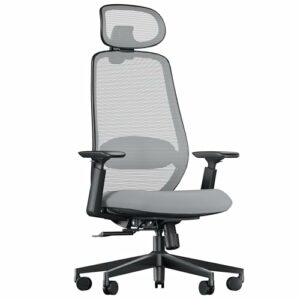 ProtoArc EC200 Sedia Ufficio Ergonomica con Poggiatesta 3D - Grigio