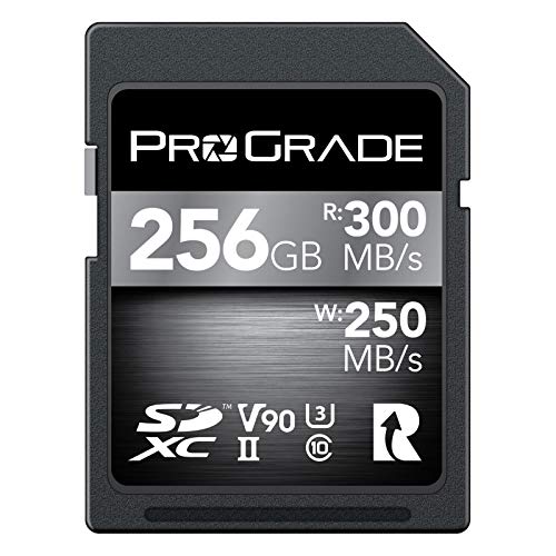 Scheda di memoria di tipo A ProGrade Digital SDCX UHS-II V90 300R (256GB)